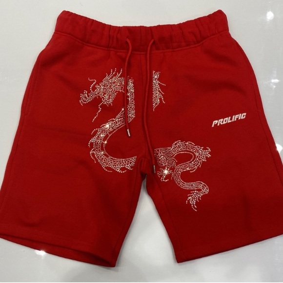 Geysha Red Dragon Fishnet Shorts Set Fits M-XL